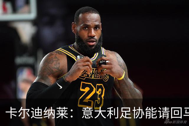 卡尔迪纳莱：意大利足协能请回马尔蒂尼，说明他们开始醒悟了