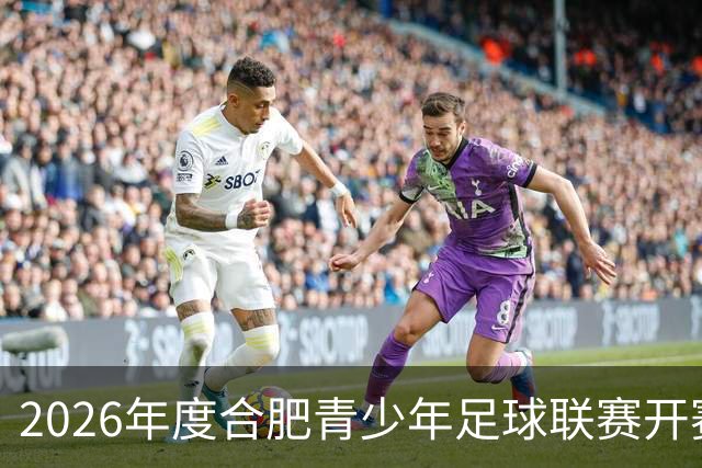 2026年度合肥青少年足球联赛开赛